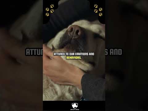 K9 Unit Workshop — Mississippi