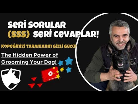 Köpeklerle İlk Temas: Büyük Hataları Önleyin!