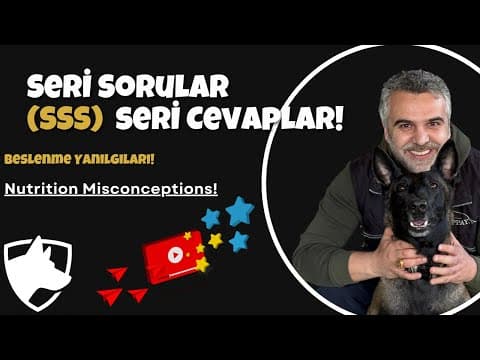Köpeklerde Çim Yeme Davranışı: Tehlikeli mi, Normal mi?