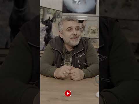 Köpeklerde Beslenme Saatleri ve Porsiyon Kontrolü